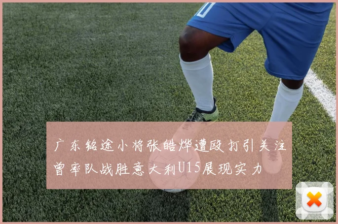 广东铭途小将张皓烨遭殴打引关注曾率队战胜意大利U15展现实力